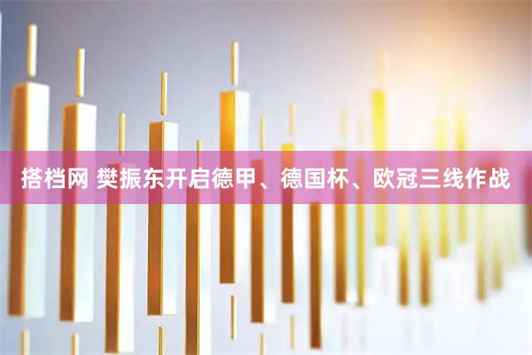 搭档网 樊振东开启德甲、德国杯、欧冠三线作战