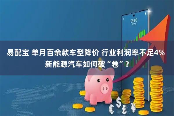易配宝 单月百余款车型降价 行业利润率不足4% 新能源汽车如何破“卷”？
