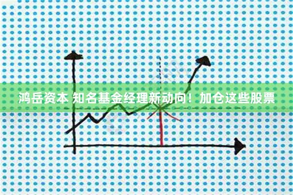鸿岳资本 知名基金经理新动向!加仓这些股票