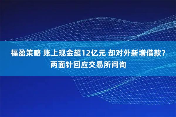 福盈策略 账上现金超12亿元 却对外新增借款？两面针回应交易所问询