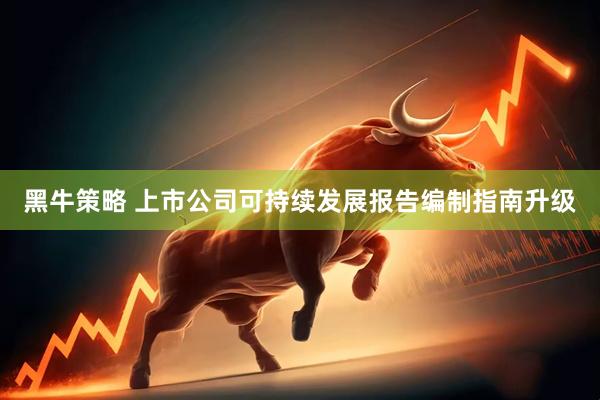 黑牛策略 上市公司可持续发展报告编制指南升级