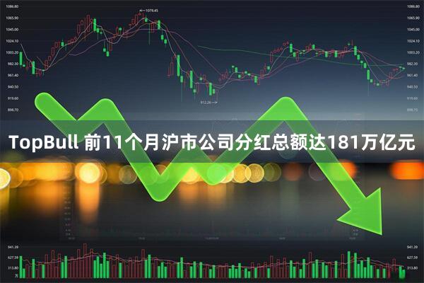 TopBull 前11个月沪市公司分红总额达181万亿元