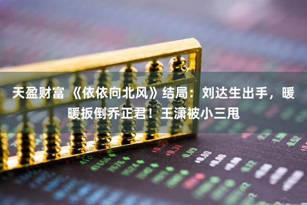 天盈财富 《依依向北风》结局：刘达生出手，暖暖扳倒乔正君！王潇被小三甩