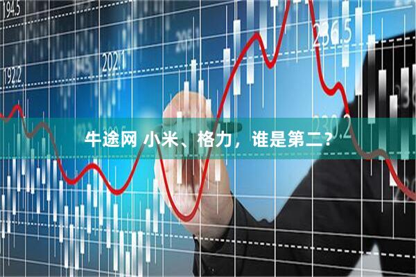 牛途网 小米、格力，谁是第二？